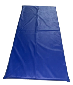 Colchonetes Ginástica, Academia E Yoga com Costura Central - 90 X 40 X 3 - Orthovida - Azul
