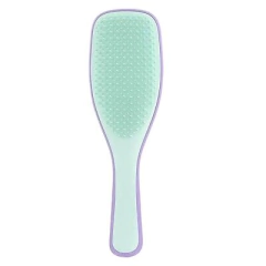 TANGLE TEEZER CEPILLO DETANGLING - CON MANGO - FINE & FRAGILE - LILAC MINT (5060173375850) - comprar online