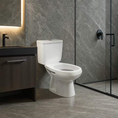 Inodoro Largo + Deposito de Apoyo Dual Monaco - Roca - comprar online