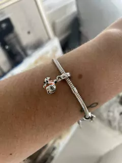 Charm Nemo