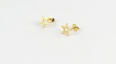 Aro mini estrella gold na internet