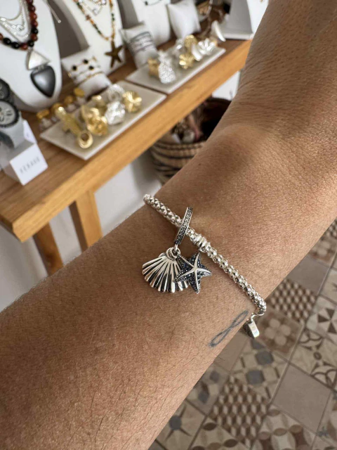 Charm Shell y estrella