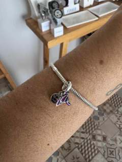 Charm mini colibri na internet