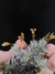T. aizoides - comprar online