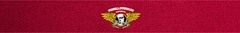 Banner da categoria POWELL PERALTA 