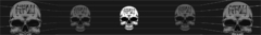 Banner da categoria SP011