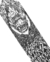 Lixa Importada BONES WHEELS Forest Face Grip Tape Sheet 9 x 33 white na internet