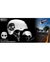 Imagem do CAPACETE NIGGLI PRO MODEL ITALO PENARRUBIA PRO LIGHT BRANCO