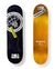 SHAPE Nineclouds Maple CREDENTIALS 8.5” - comprar online