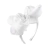 Tiara Luxo Borboleta
