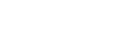 Lady Any