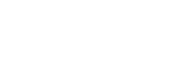 Lady Any