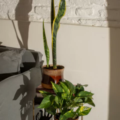 MACETA PIRUCHA (Coleccion Elemental) - online store