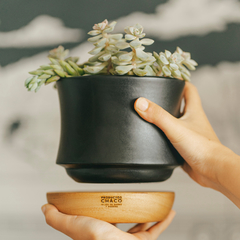 Maceta Pirucha - comprar online