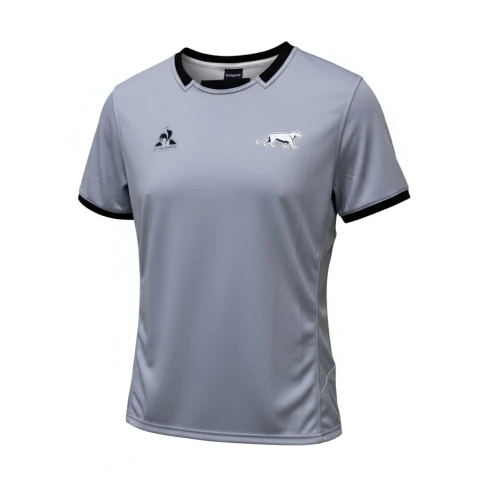 CAMISETA PUMAS MAILLOT MATCH ENTRENAMIENTO GRIS LE COQ SPORTIF - 2510691 - comprar online