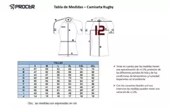 CAMISETA DE RUGBY PROCER REGATAS DE BELLA VISTA (TITULAR) en internet