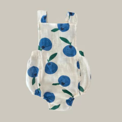 Jumper Arándanos en internet