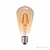 Lâmpada De Led 4w Bi-Volt Pera St64x140mm E27 - Blumenau