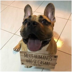 PLACA PET CASAMENTO PRE WEDDING NOIVADO
