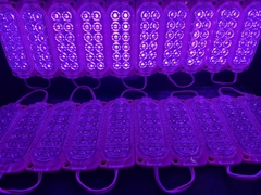 MODULO 12 LED SMD 12V - tienda online