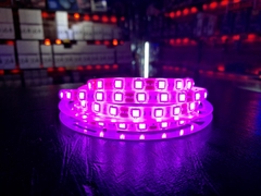 TIRA LED 5050 EXTERIOR 12V - Deled Accesorios