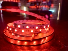 TIRA LED 2835 INTERIOR 12V - Deled Accesorios