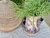 Curso Decoupage com Papel de Arroz - Mon Papier Crafts