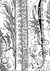 Pacote 6 folhas de acetato A4 - Romantic Garden House