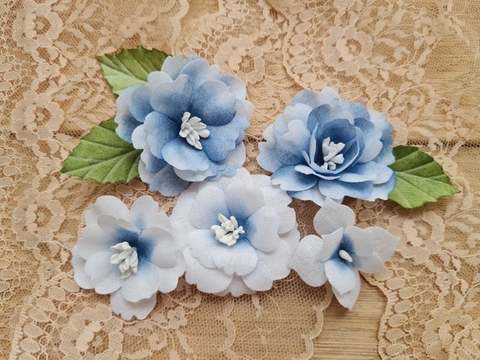 Flores branca / azul