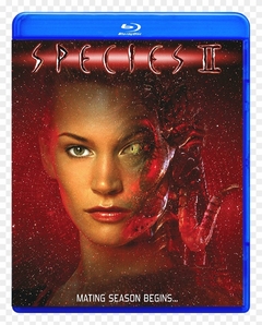 A Experiência 2 Blu-ray Dublado Legendado