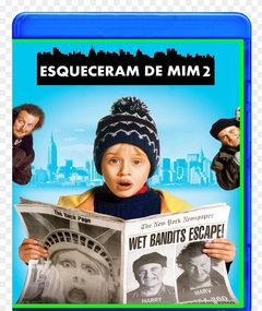 Esqueceram de Mim 2 (1992) Blu-ray Dublado Legendado
