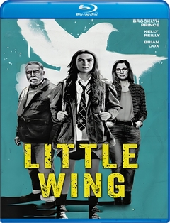 Little Wing 2024 Blu Ray Dublado Legendado