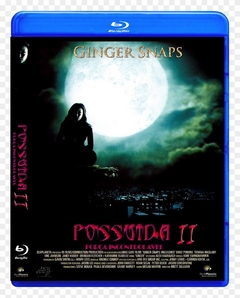 Possuída 2 Blu-ray Dublado Legendado - comprar online