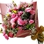 Buque Isabelle cod 438