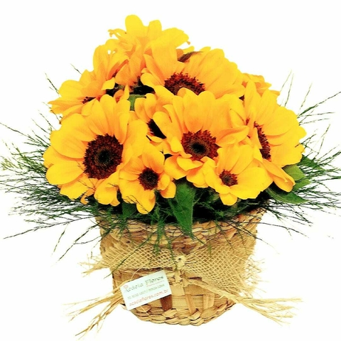 Cachepô Raquel - comprar online