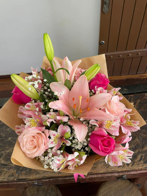 Buque Elegancia - comprar online