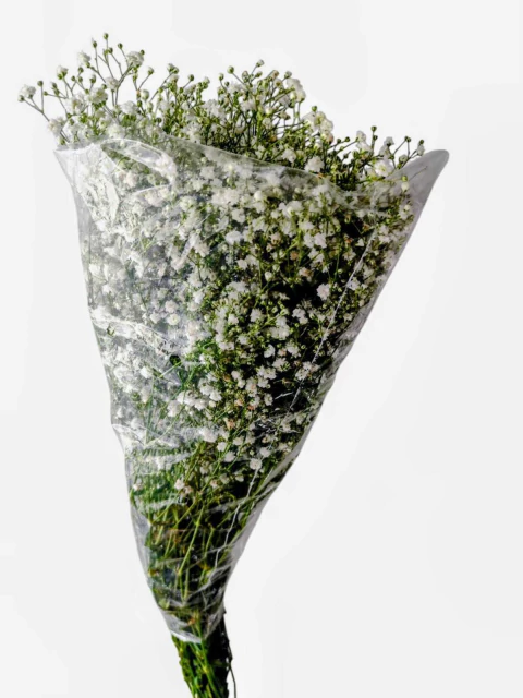 Flor de corte Gipson Pacote ( Retirada na Loja )