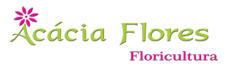Acácia  Flores  Floricultura