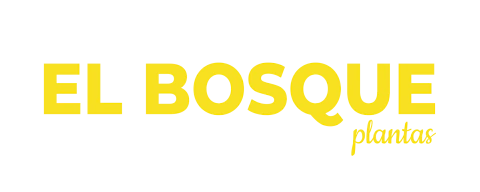 elbosqueplantas