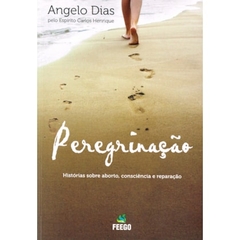 PEREGRINACAO - CARLOS HENRIQUE