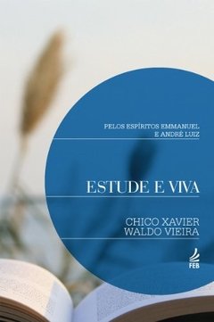 ESTUDE E VIVA NOVO PROJETO