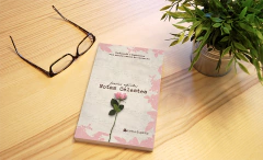 NOTAS CELESTES, POESIAS ESPÍRITAS - EVELYN FREIRE - comprar online