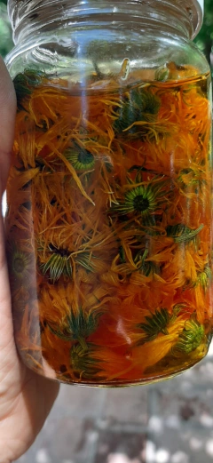 Solsticio en internet