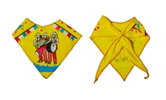 Camisa xadrez Junina + lenço - Flor e Liz Boutique