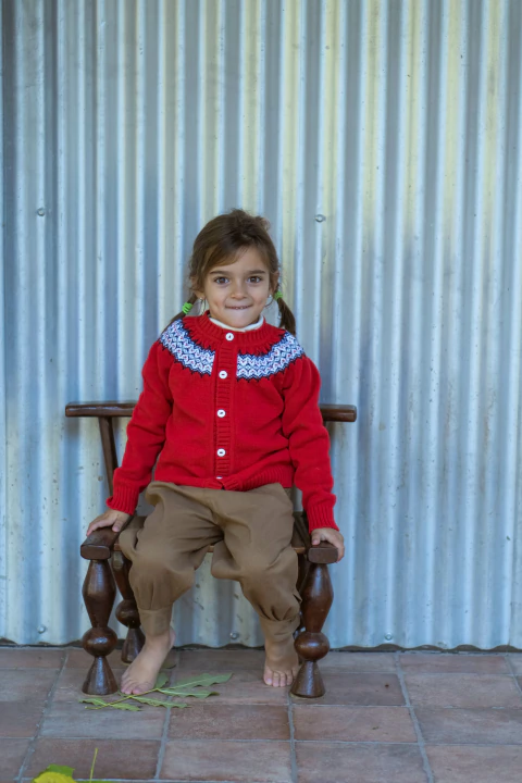 Cardigan colorado unisex - comprar online