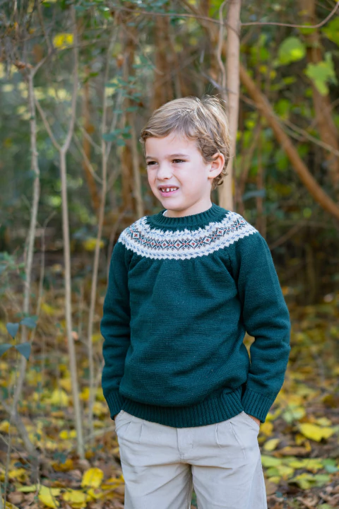 Sweater verde - comprar online