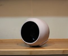 Bowl Coruja - loja online