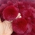 Pompom 7cm Pelúcia Vinho (Cor 18) - 2 Unidades