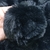 Pompom De Pelucia 8cm Preto (Com Elástico) - 1 unidade