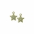 Pingente Metal Estrela Dourada 2cm - 2 unidades